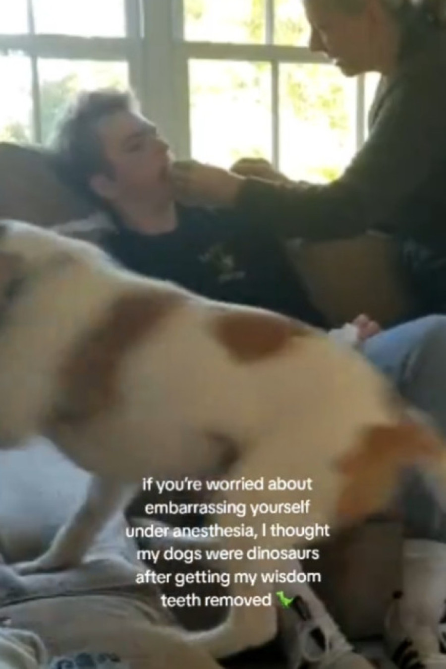 Momak pod anestezijom ugledao svoje pse, ono što je izgovorio nasmejalo milione (VIDEO)