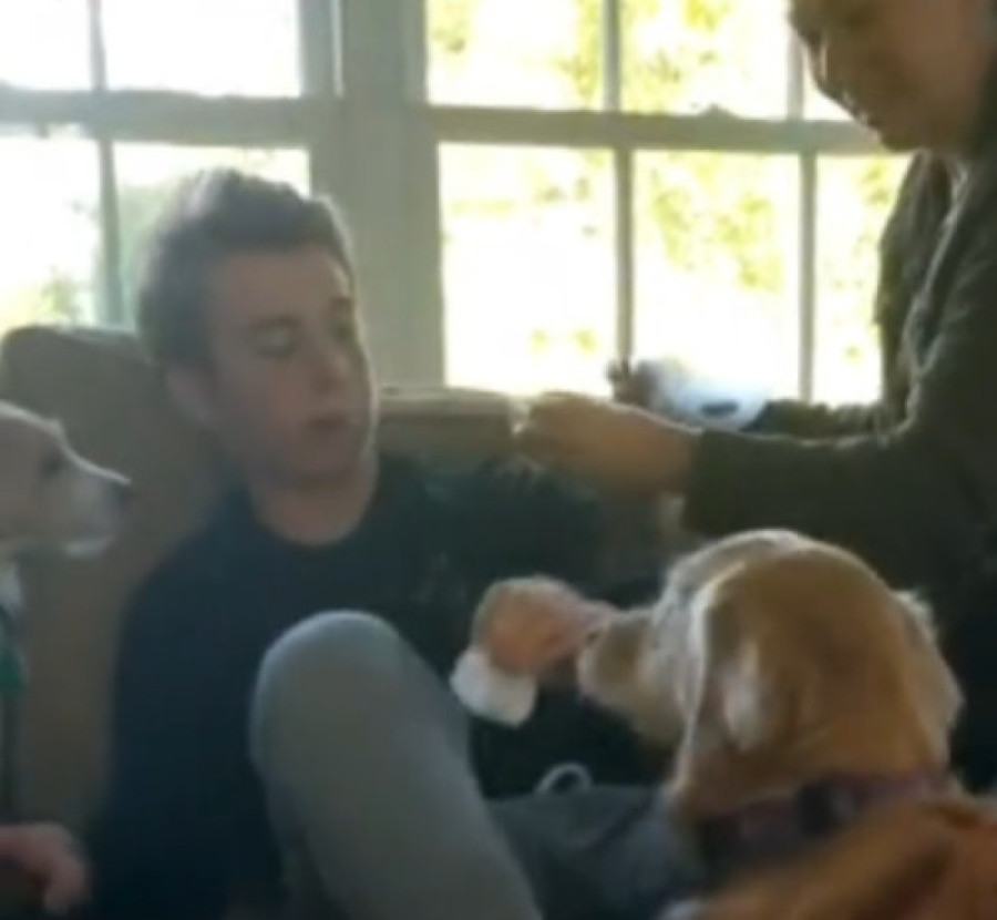 Momak pod anestezijom ugledao svoje pse, ono što je izgovorio nasmejalo milione (VIDEO)