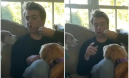 Momak pod anestezijom ugledao svoje pse, ono što je izgovorio nasmejalo milione (VIDEO)