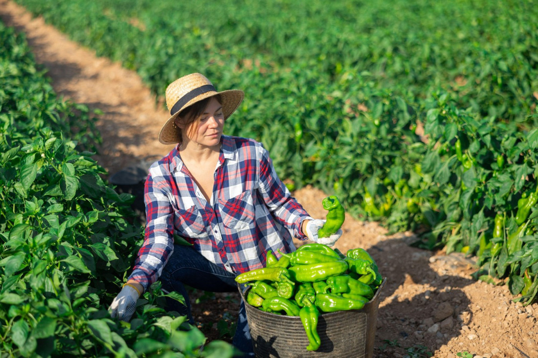 Vlada otvorila kasu za žene u ruralnim krajevima: Država deli do milion dinara