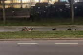 Sudar motocikla i bicikla: Muškarac bez svesti u Urgentnom centru Vojvodine (FOTO/VIDEO)
