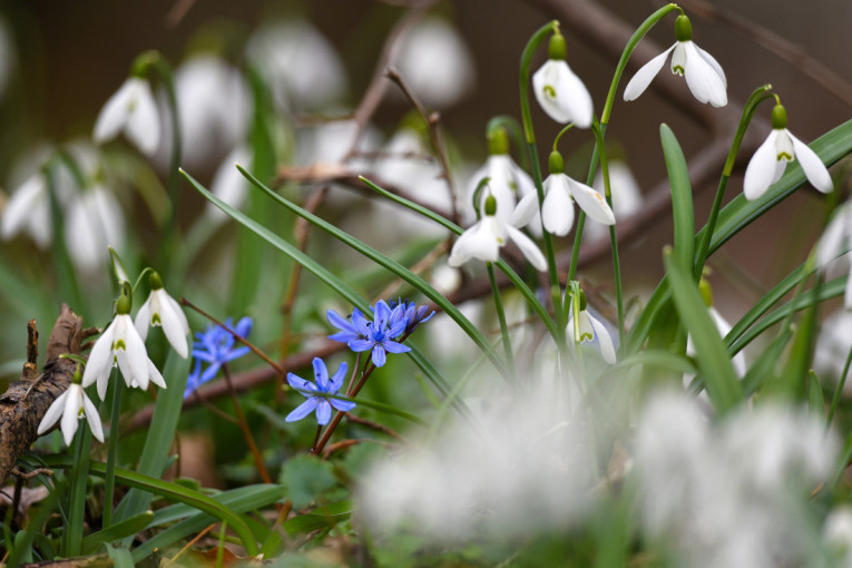 Vučić: Puno ljudi želi da se vrati iz Dubaija, ponudili smo da zajedno vraćamo i Bošnjake, Hrvate i Srbe