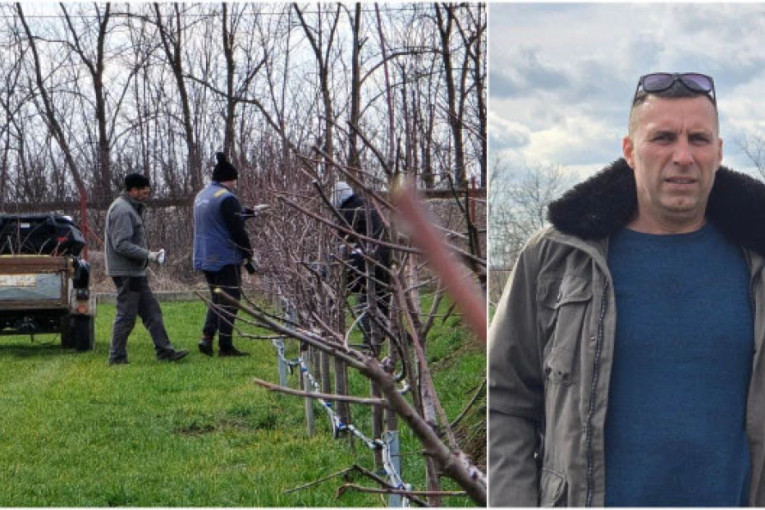 Na njivu sa diplomom stomatologa: Neverovatna životna priča mladog Banaćanina (FOTO)