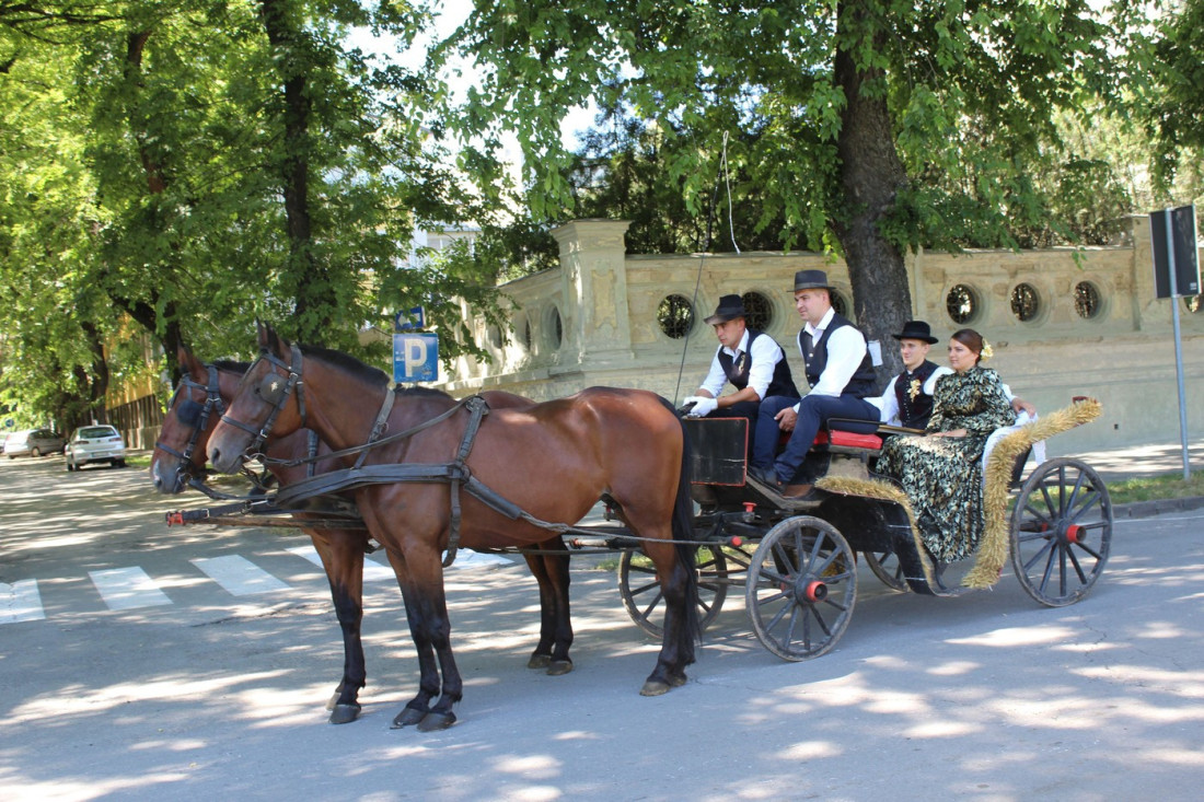 Sela oko Subotice čuvaju tradiciju: običaji, pesma i žetva kao živo kulturno nasleđe grada
