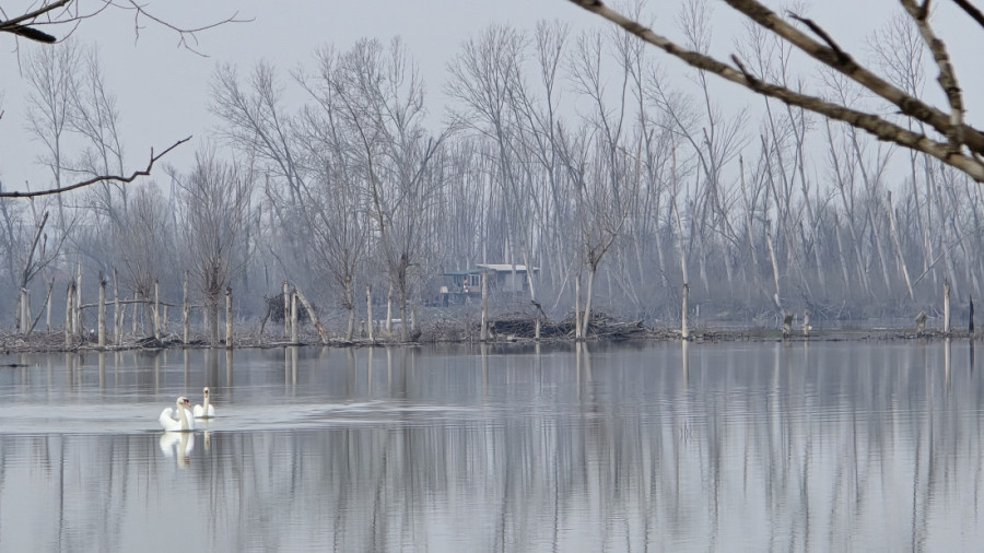 Most koji će spojiti Bačku i Srem uskoro počinje da se gradi: Ovo su poruke meštana sela sa kojim će biti spojena Bačka Palanka