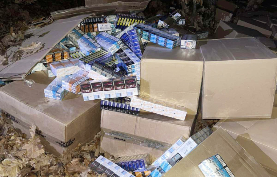 Budžet Srbije oštećen za više od 60 miliona! Velika policijska akcija: Izvršeni pretresi na 53 lokacije, evo šta je zaplenjeno