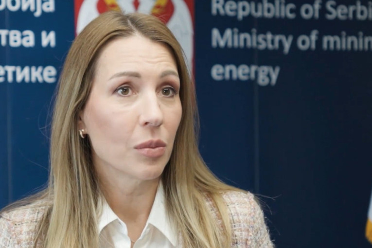 100% iz Srbije: Sad se sve zna, evo kada će srpski proizvodi dobiti pečat