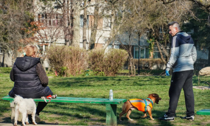 Jutro sveže, popodne pravo proleće: Temperatura do 20 stepeni