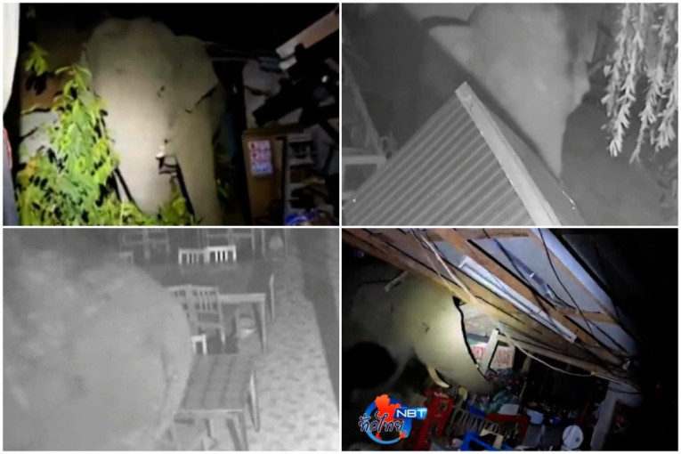 TikTok poludeo za disko hitom iz 1979: Neki tvrde da pesma „privlači novac“ (VIDEO)