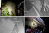 Gladni slon upao u restoran u potrazi za hranom: Poznati „noćni gost“ ponovo napravio haos (VIDEO)