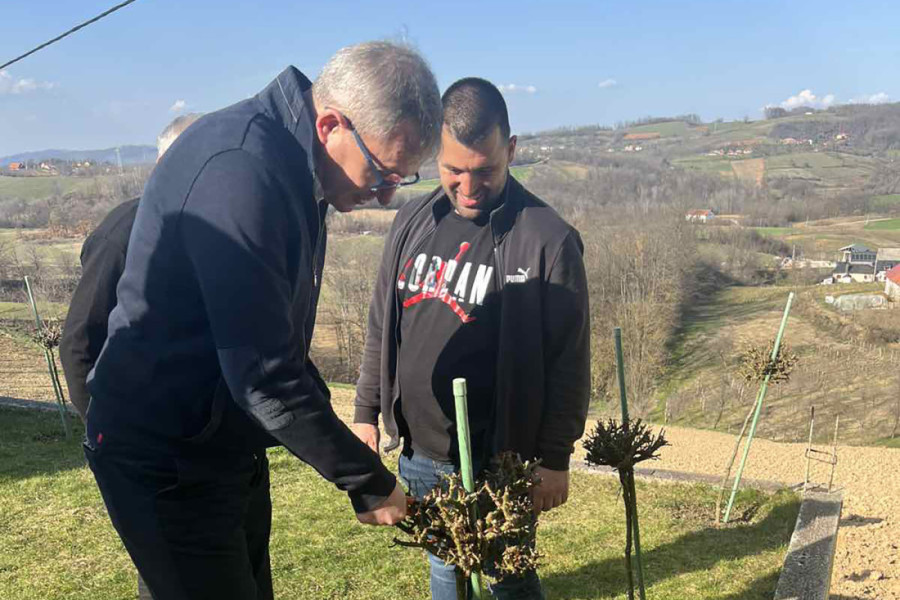 Država već isplatila više od 10 milijardi dinara poljoprivrednicima: Stiže još novca pred setvu