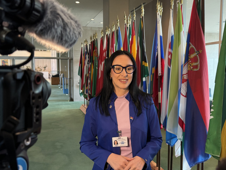 Žarić Kovačević u Njujorku predstavila snažne mere za podršku ženama i porodicama