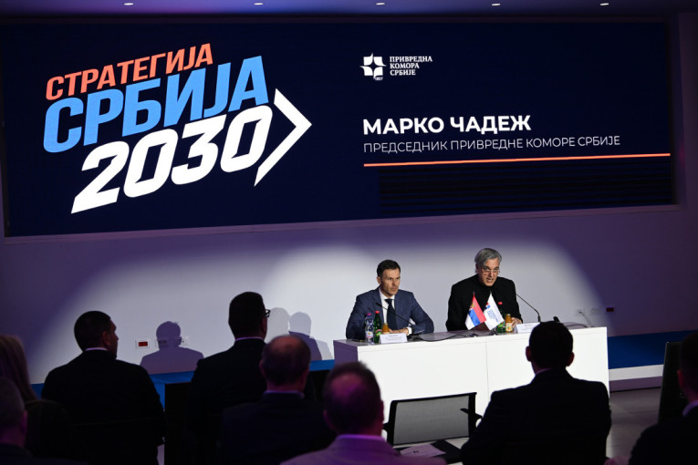Kako će Srbija izgledati do 2035? Mali predstavio Nacionalnu strategiju razvoja! (FOTO/VIDEO)