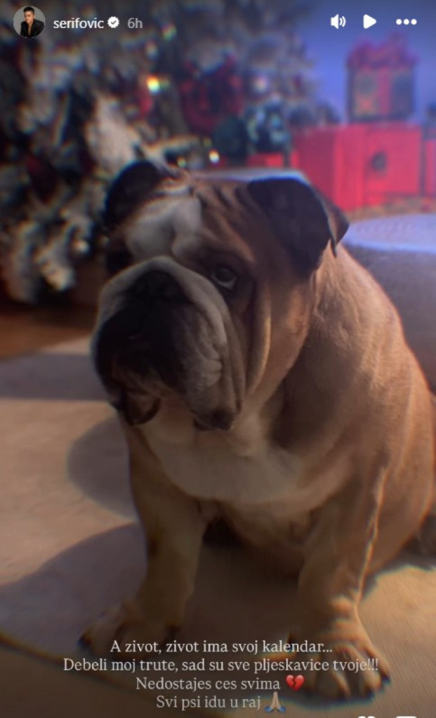 Uginuo pas Marije Šerifović koga su obožavali njeni fanovi! Oprostila se od čuvenog Haka: "Debeli moj trute..."