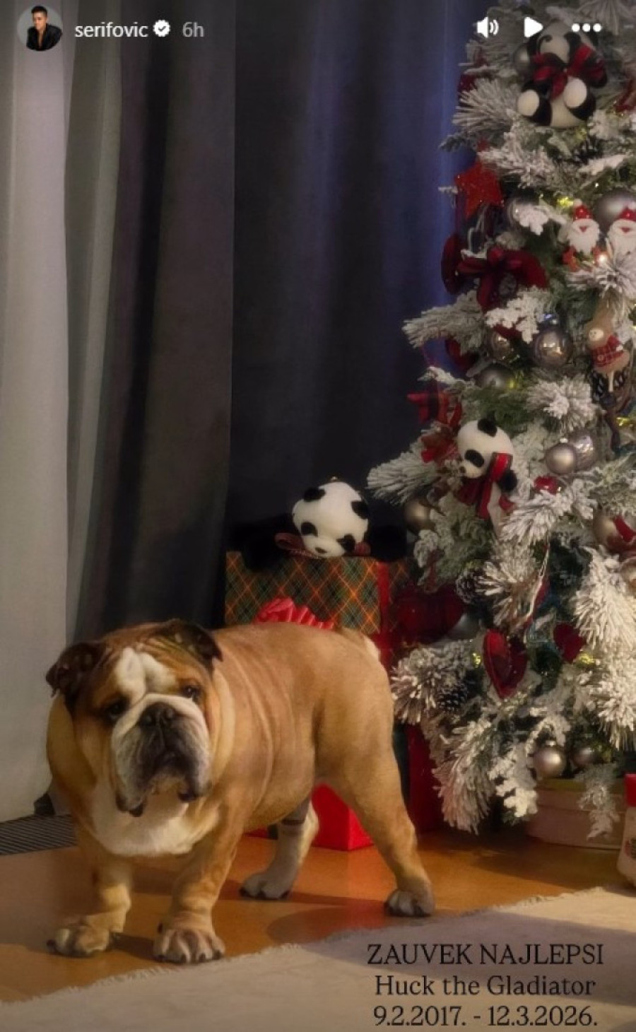 Uginuo pas Marije Šerifović koga su obožavali njeni fanovi! Oprostila se od čuvenog Haka: "Debeli moj trute..."