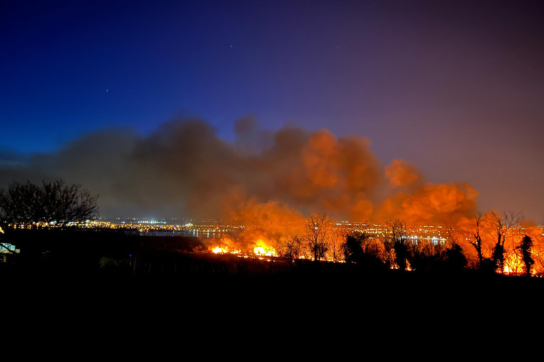 Zastrašujuć prizor: Požar između Beočina i Rakovca, buktinja guta sve pred sobom (VIDEO)