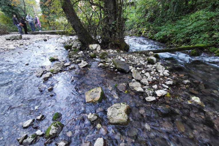 Danas je Međunarodni dan reka, a Srbija ima svoj dragulj za ponos: Vrelo izvire podno Tare i najkraća je reka u Evropi (FOTO)