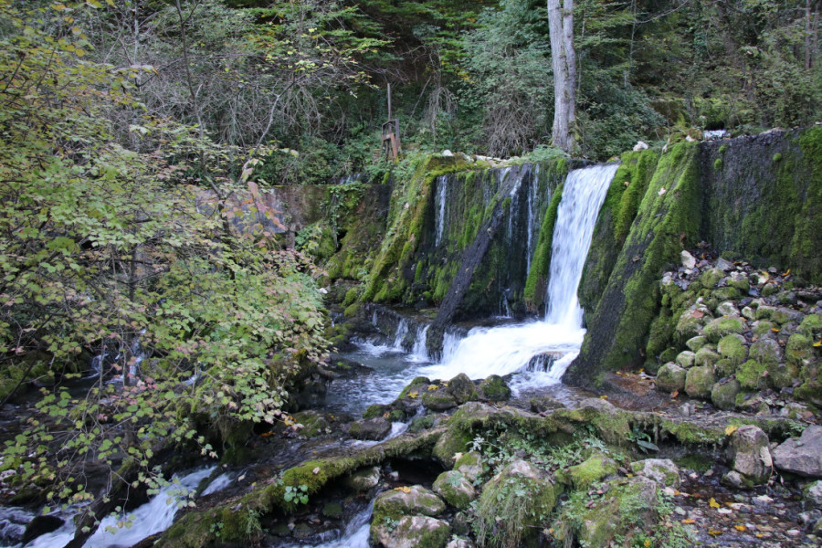 Srbija ima svoj dragulj za ponos: Vrelo izvire podno Tare i najkraća je reka u Evropi (FOTO)