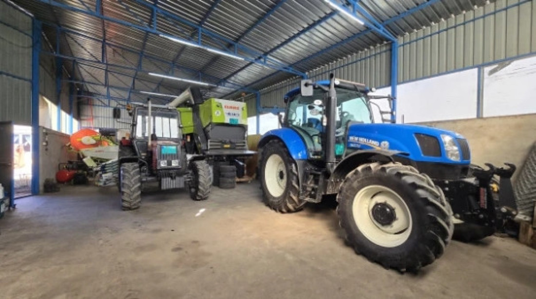 Na njivu sa diplomom stomatologa: Neverovatna životna priča mladog Banaćanina (FOTO)