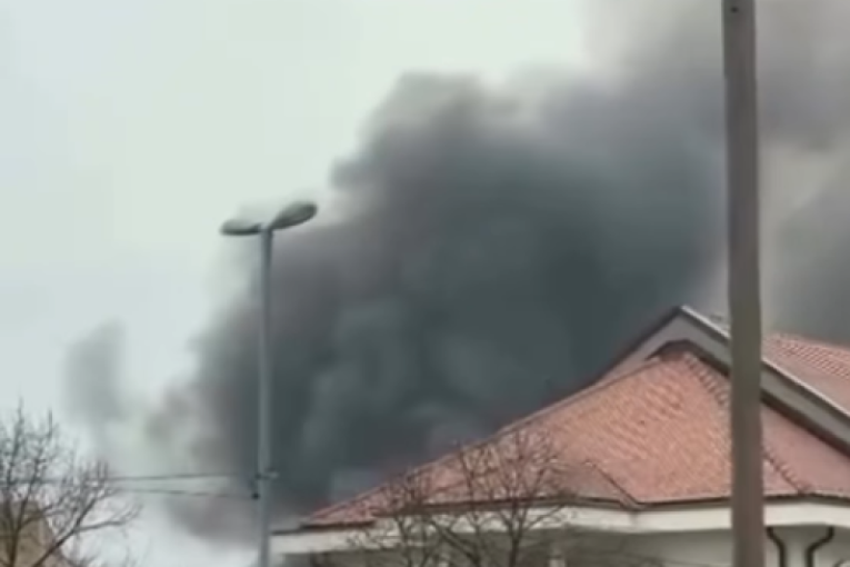 Ogroman požar na Čukarici: Buktinja se širi, stigli vatrogasci (FOTO)