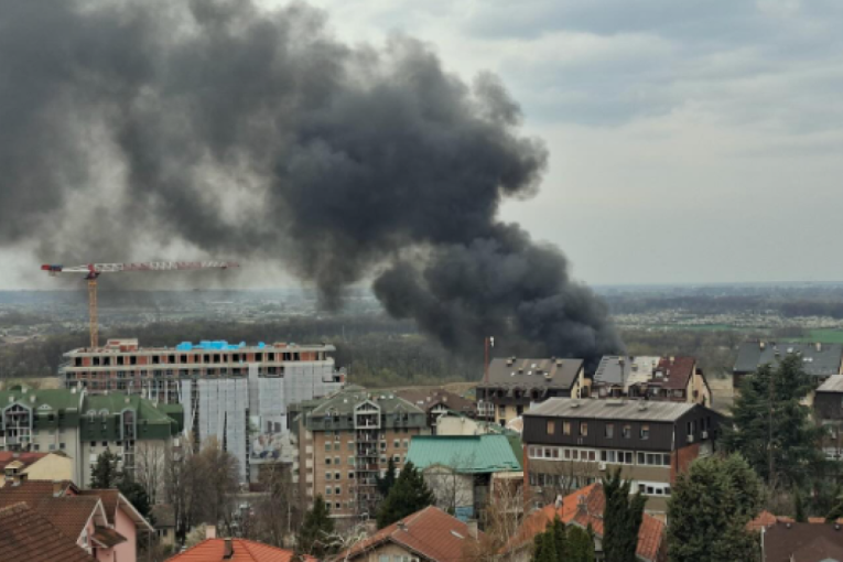 Ogroman požar na Čukarici: Buktinja se širi, stigli vatrogasci (FOTO)