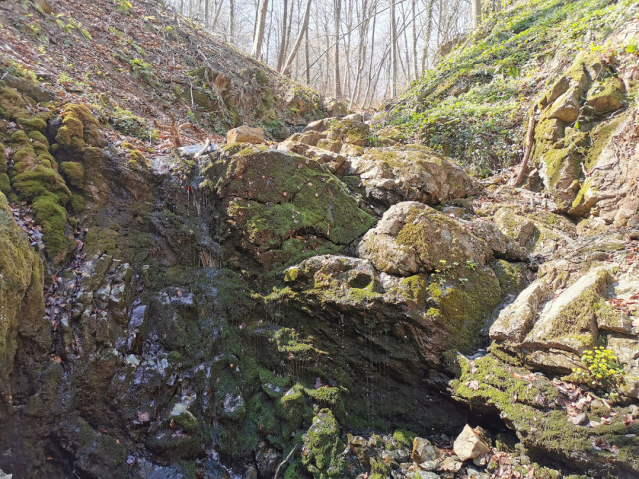 Devojčica je progledala, a žena izlečila srce: Ovaj manastir u Srbiji mnogi smatraju čudotvornim