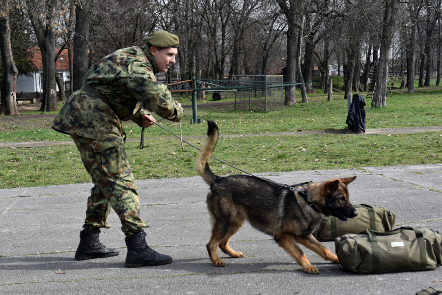 Postani vojni pilot: Konkurs otvoren do 31. marta, evo ko može da se prijavi