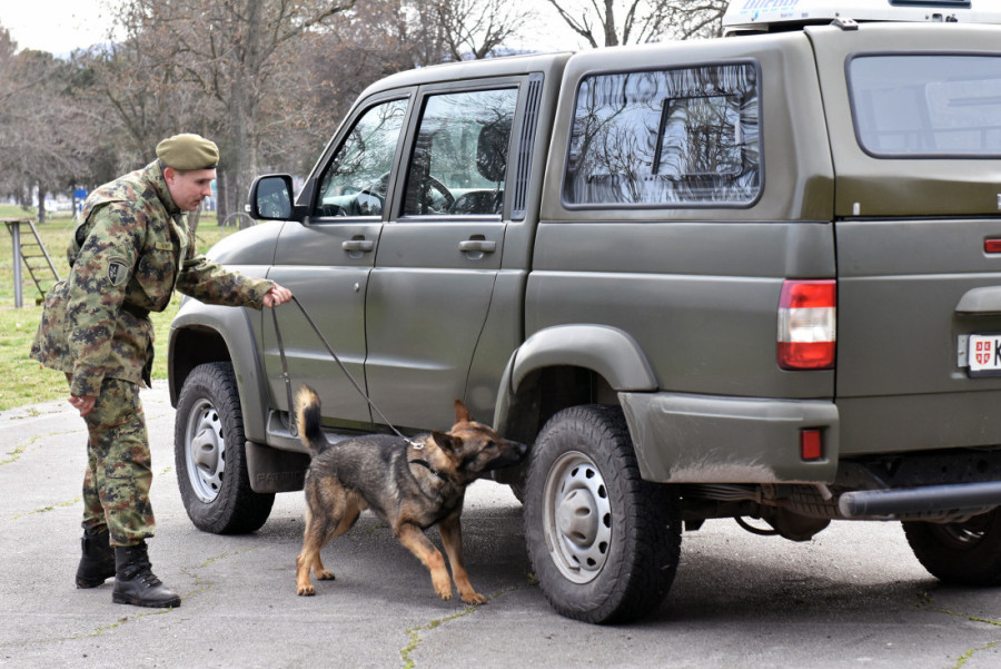 U Nišu u toku obuka pasa za službu u jedinicama Vojske Srbije! (FOTO)