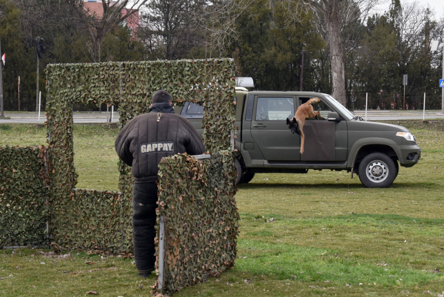 U Nišu u toku obuka pasa za službu u jedinicama Vojske Srbije! (FOTO)