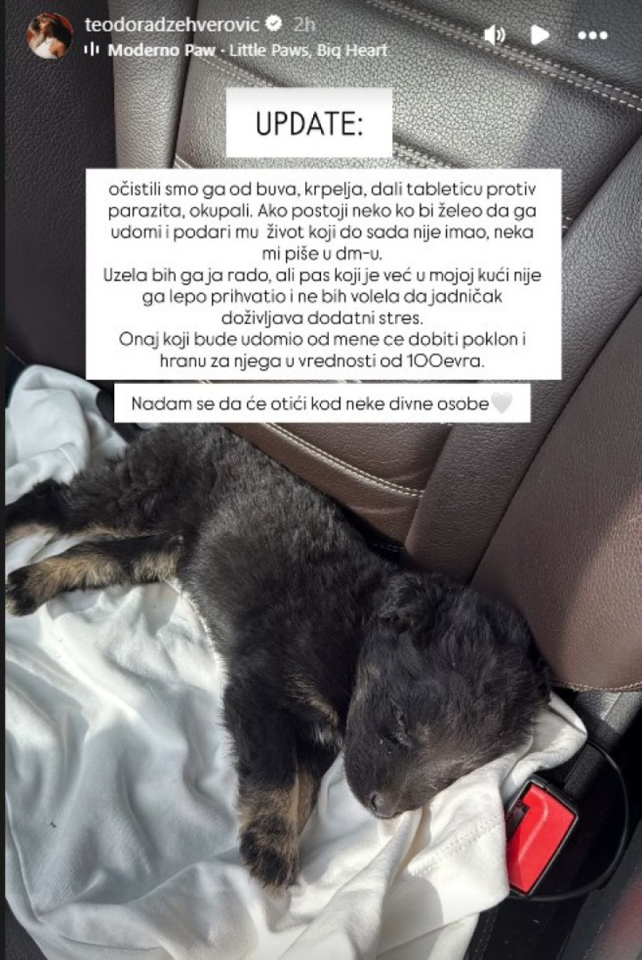 Teodora Džehverović nudi nagradu: Spasila štene sa ulice, sada mu traži dom (FOTO)