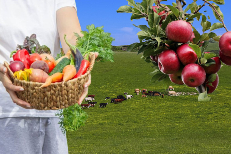 Lider ravnice! Ovaj grad u Vojvodini spreman za uzgoj organske hrane, ovo su detalji