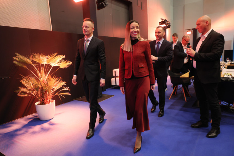 Ministarka na konferenciji u Budimpešti: Srbija jedna od ključnih destinacija za dalji razvoj automobilske industrije (FOTO)