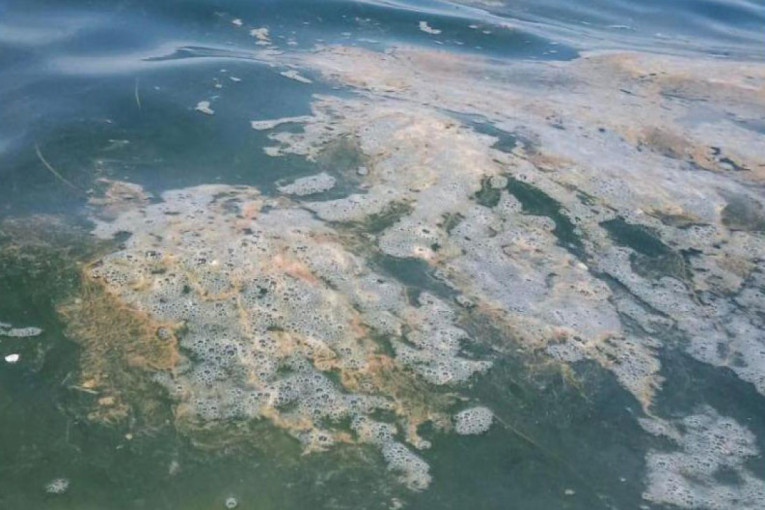 Hrvatska idilična razglednica: Jadran kao deponija za fekalije