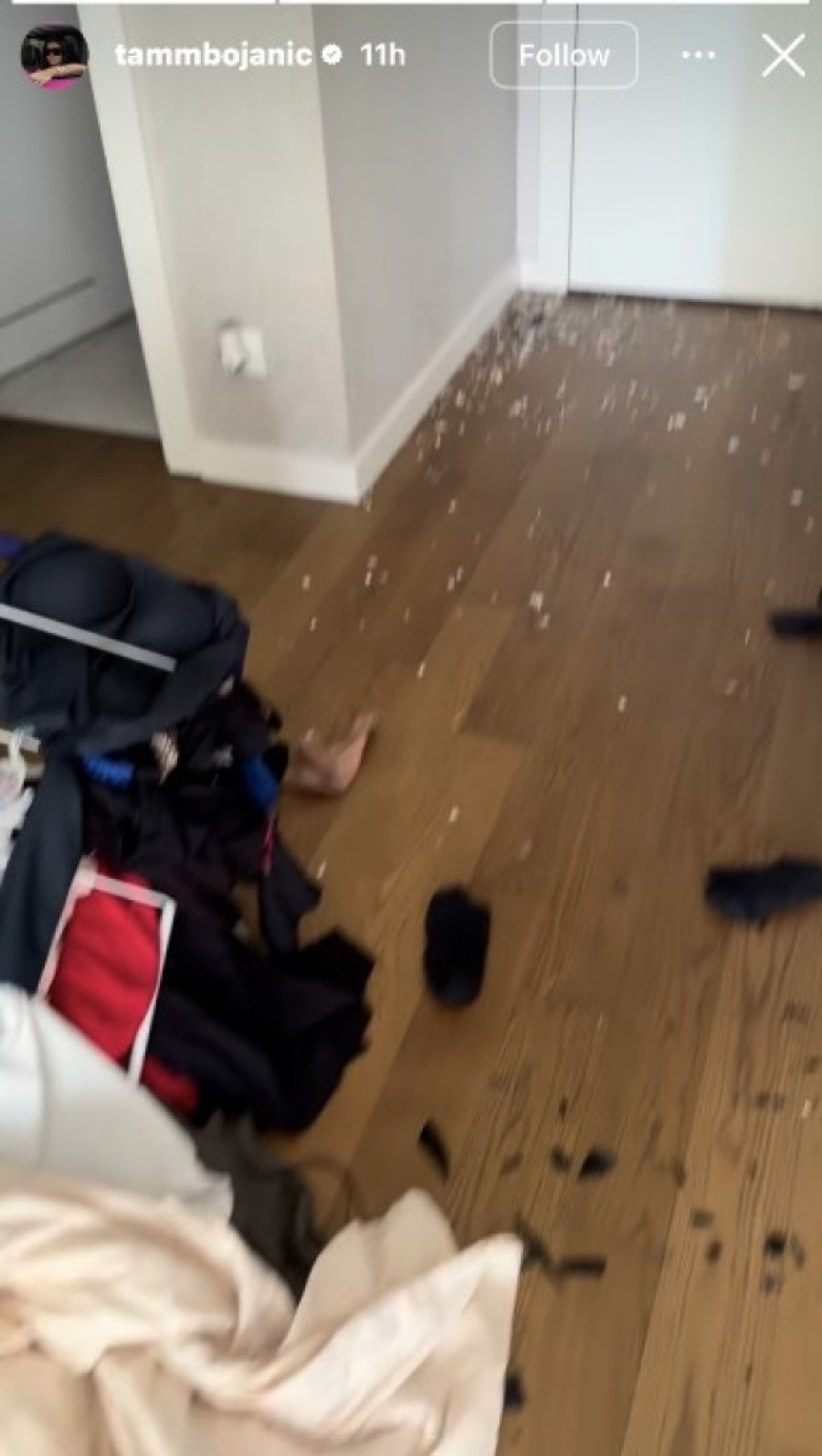 Tamaru Bojanić bivši dečko napao i demolirao joj stan: Starleta grca u suzama