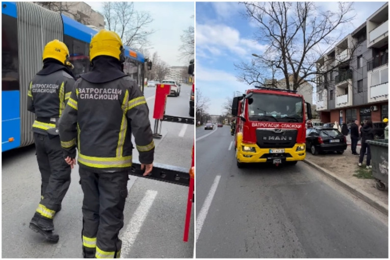 Požar u Novom Sadu: Vatrogasci dojurili na lice mesta (VIDEO)