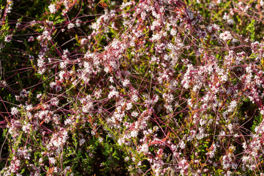 NBS se oglasila: Ovo je važno da znate!