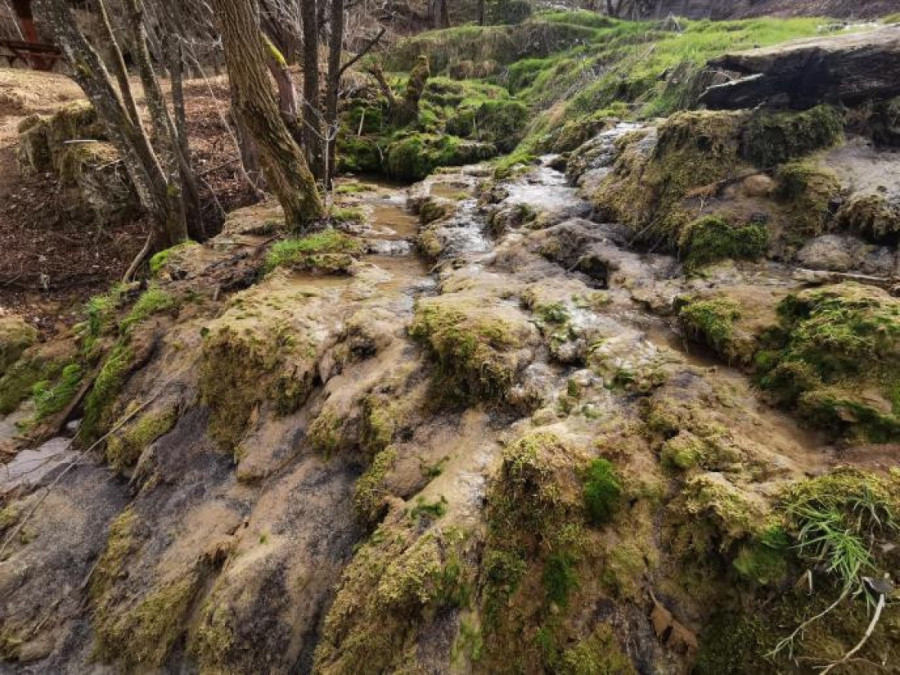 Ovo je srpska prestonica sremuša: Podno planine Povlen ušuškala su se Taorska vrela (FOTO)