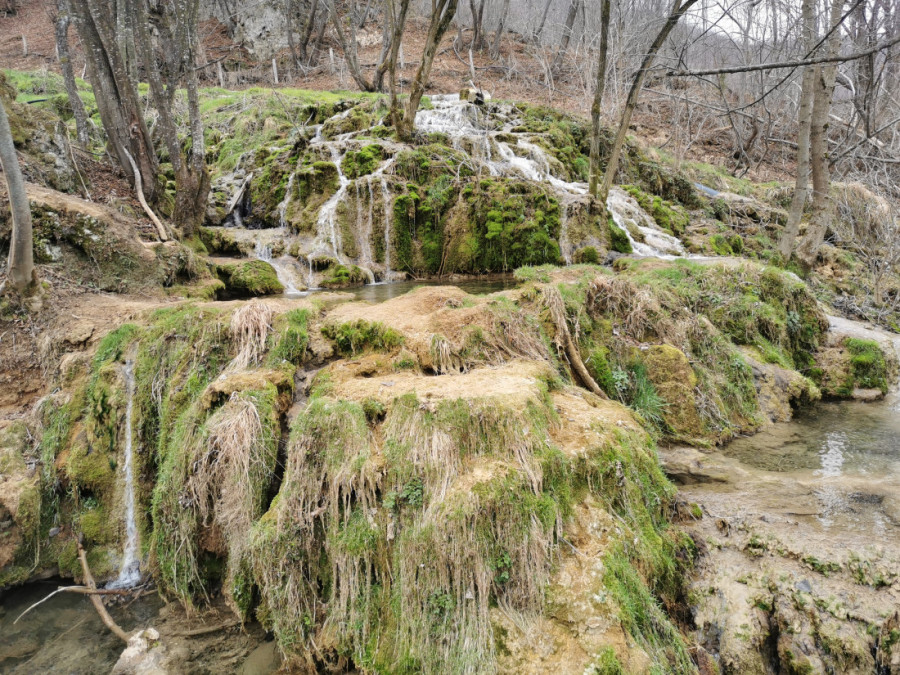 Ovo je srpska prestonica sremuša: Podno planine Povlen ušuškala su se Taorska vrela (FOTO)