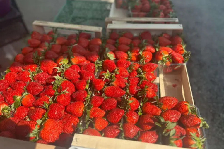 Za mesec dana promenila se slika zaseoka Konder kod Bajine Bašte: Mašine se ne gase, put i Seoski dom skoro završeni (FOTO)
