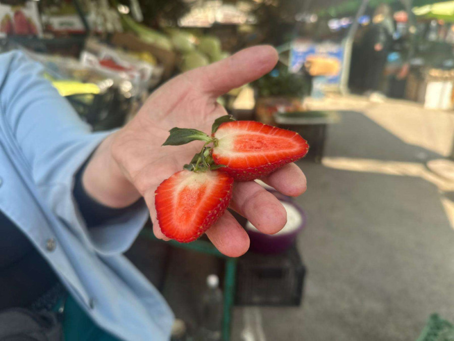 Prve jagode stigle na pijace u ovom srpskom gradu: Cena iznenadila, ukus oduševio