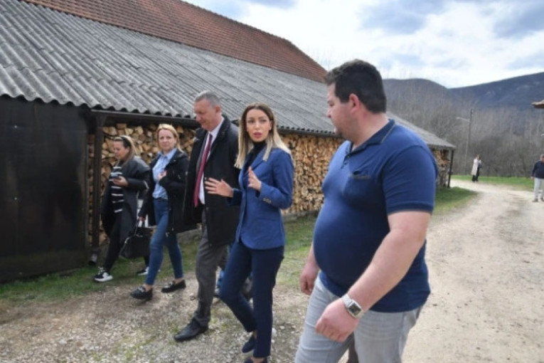 Predsednik udvostručio sredstva, po programu i do milion dinara! Mesarović: Cilj da imamo srpske kvalitetne proizvode, jer su najbolji