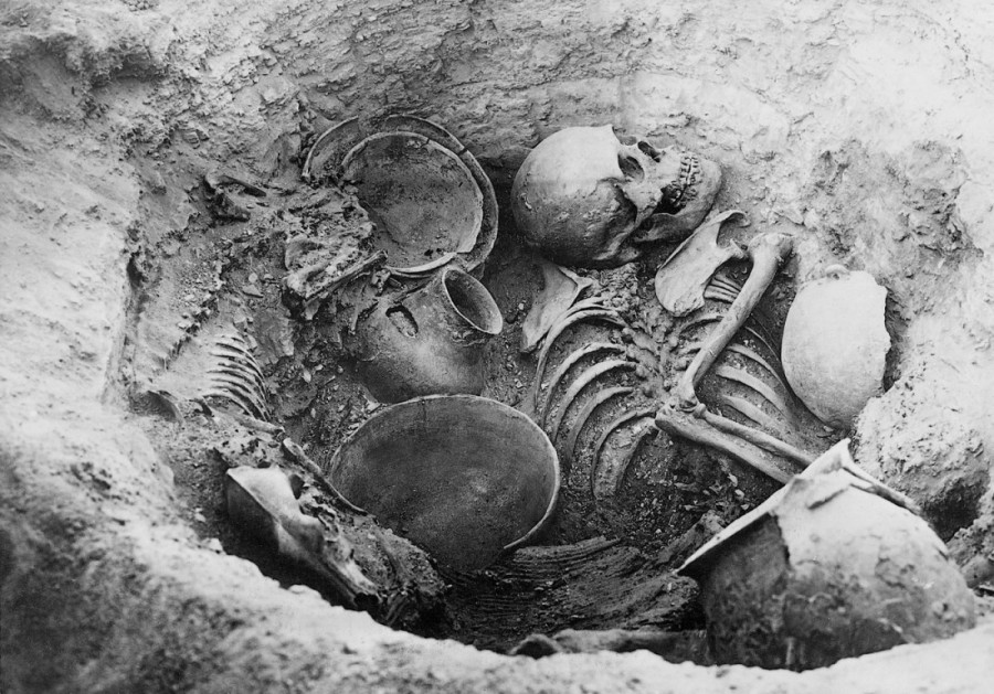 Psi su uz ljude mnogo duže nego što se ranije verovalo: Evo kakva im je bila funkcija