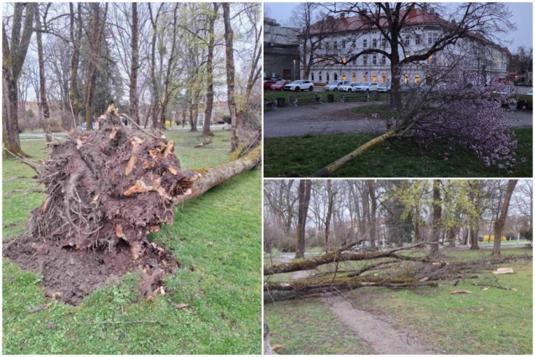 Oluja pregazila Slovence: Oštećeno više od 650 kuća, bez struje 6.000 potrošača