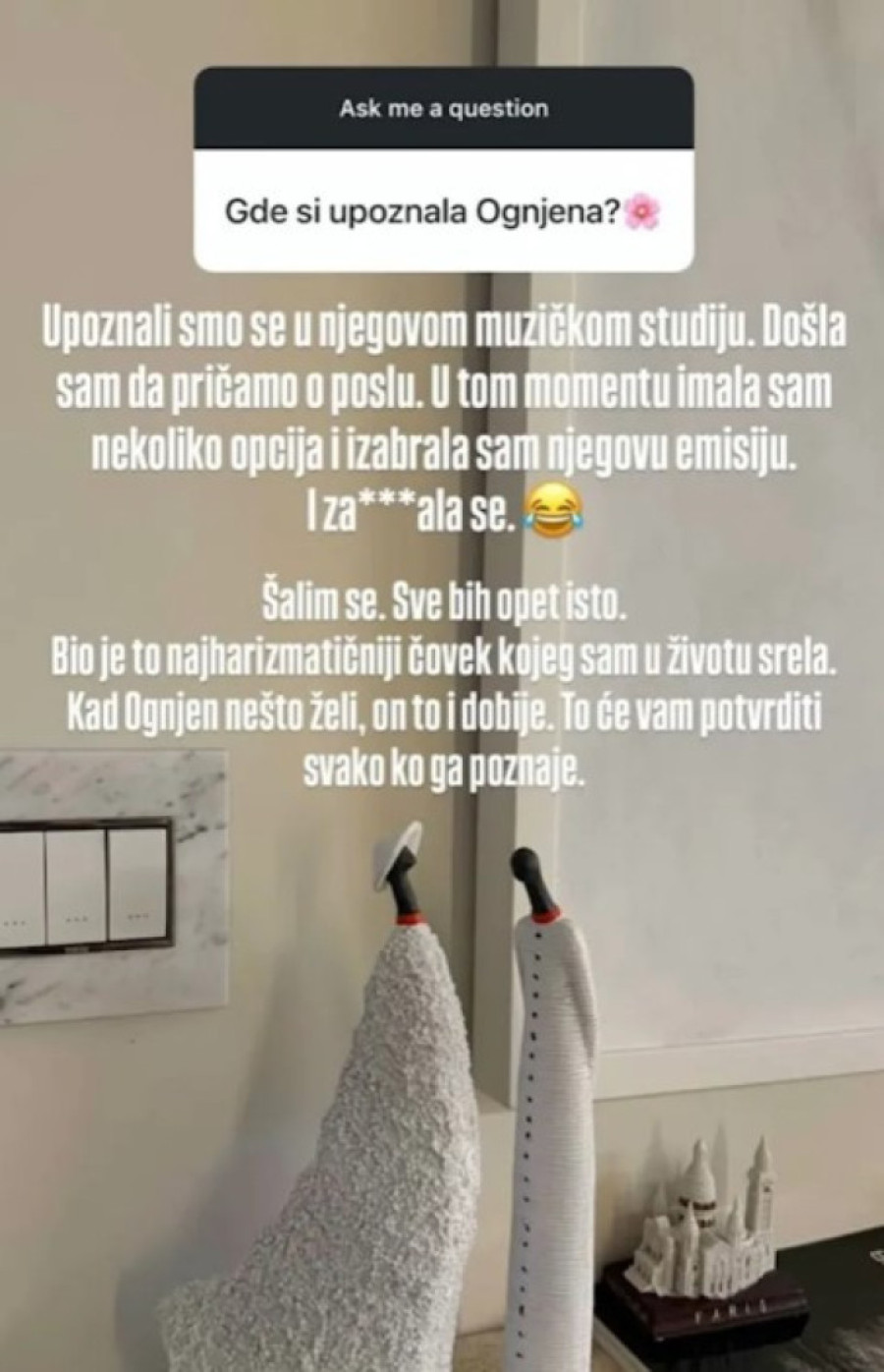 Mina otkrila kako je upoznala Amidžića: Došla sam da pričamo o poslu i za***ala se!
