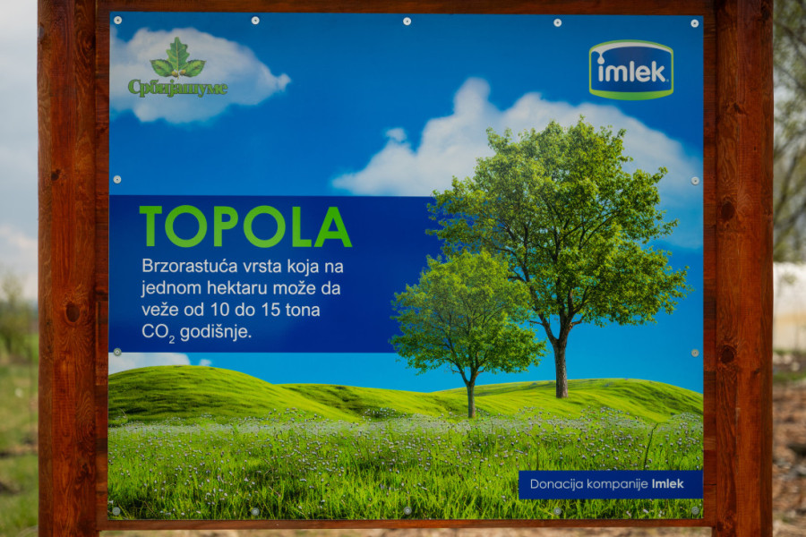 Stotine novih stabala za zdraviju budućnost: Imlek obeležio Svetski dan šuma akcijom pošumljavanja i sadnjom preko 270 topola