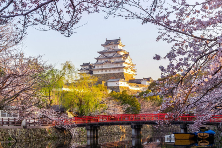 Grad na steni: Ovo mesto u Provansi osvaja turiste svojim bajkovitim poljima lavande i bogatom istorijom (FOTO)