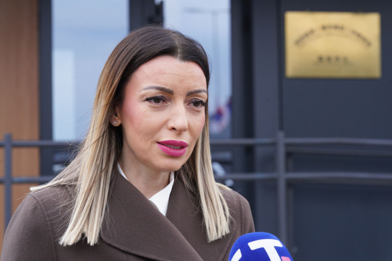 Mesarović o novom napadu Marinike Tepić na lidera SNS: Ponovićemo da drznica i njen gazda nisu ni do članaka Vučeviću