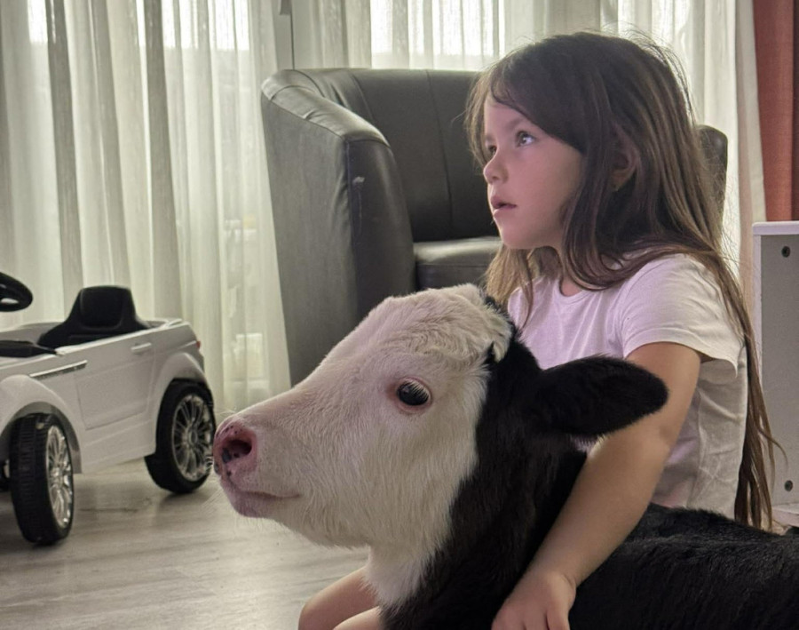 Prelepa slika iz porodičnog doma: Tele postalo miljenik svih, zajedno sa decom gleda crtane filmove! (FOTO)