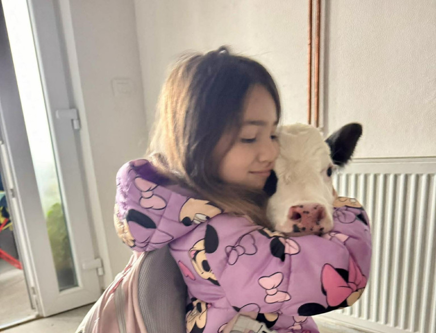 Prelepa slika iz porodičnog doma: Tele postalo miljenik svih, zajedno sa decom gleda crtane filmove! (FOTO)