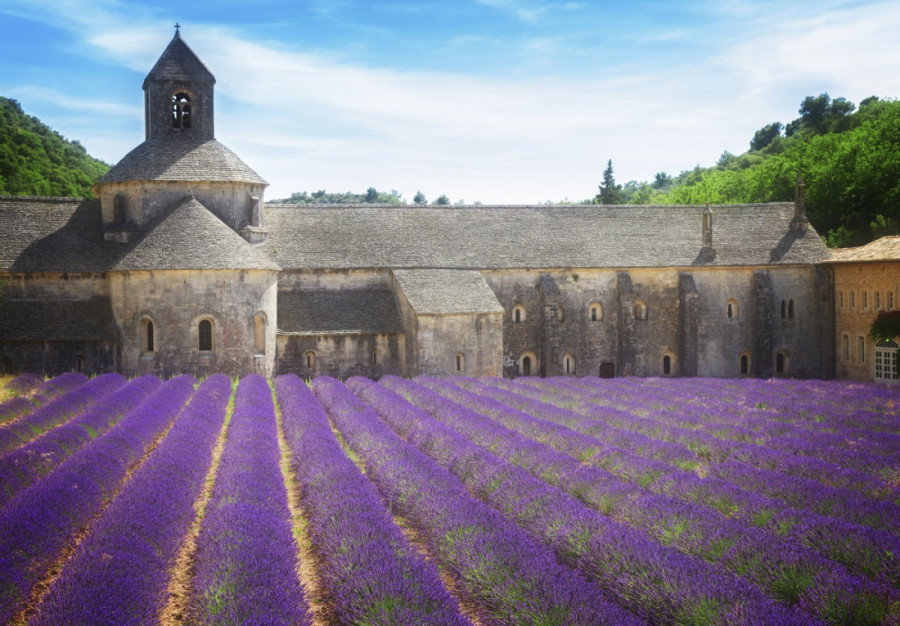 Grad na steni: Ovo mesto u Provansi osvaja turiste svojim bajkovitim poljima lavande i bogatom istorijom (FOTO)